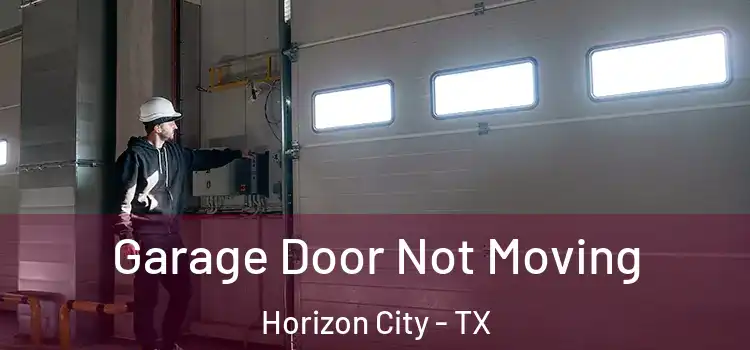  Garage Door Not Moving Horizon City - TX