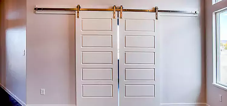 Glass Barn Door with Installation Hardware Kit Horizon City