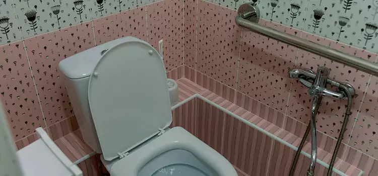 Meeting Diverse Needs With Accessible Restroom Solutions in Horizon City, TX