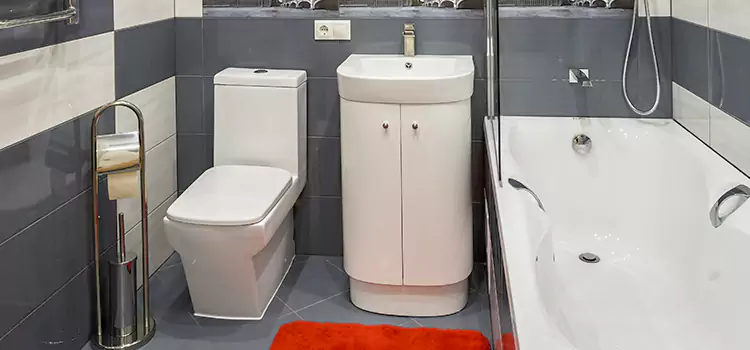 Hansgrohe Shaving Mirror Horizon City